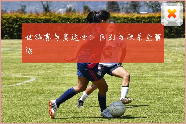 世锦赛与奥运会：区别与联系全解读